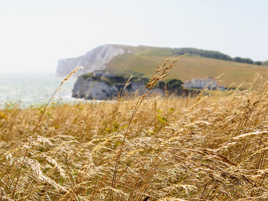 Trip report - Cycled 60 miles around the Isle of Wight