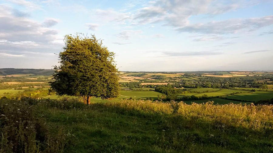 Microadventure report - Ran 50 miles along the South Downs Way